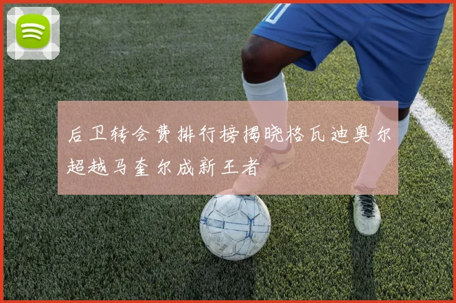 后卫转会费排行榜揭晓格瓦迪奥尔超越马奎尔成新王者