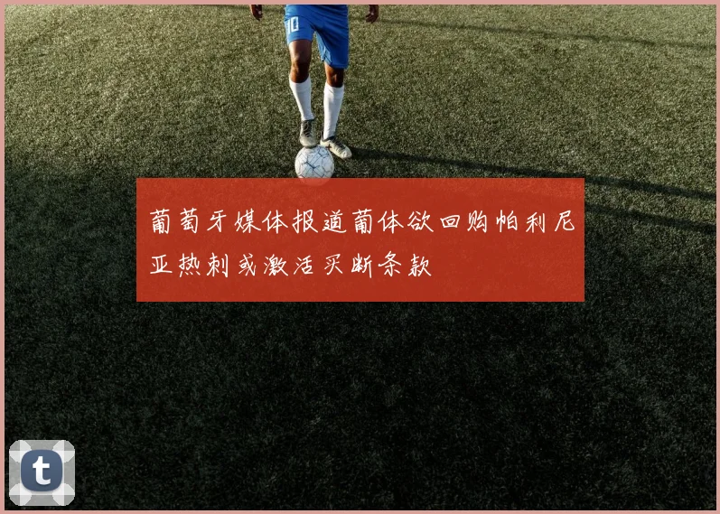 葡萄牙媒体报道葡体欲回购帕利尼亚热刺或激活买断条款