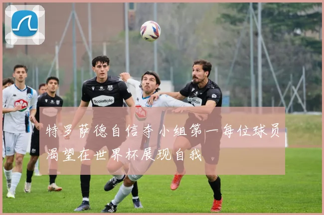 特罗萨德自信夺小组第一每位球员渴望在世界杯展现自我